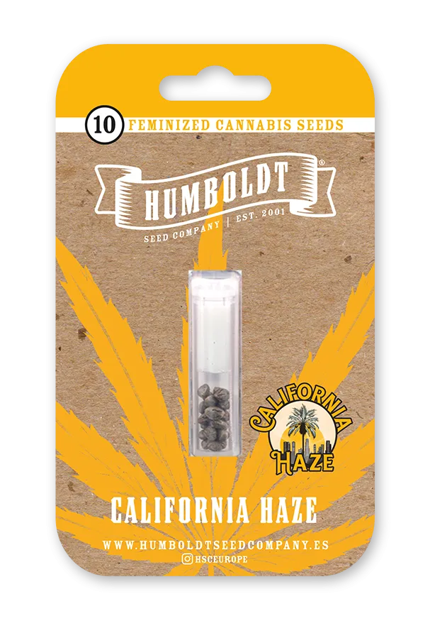 California Haze Samenpackung