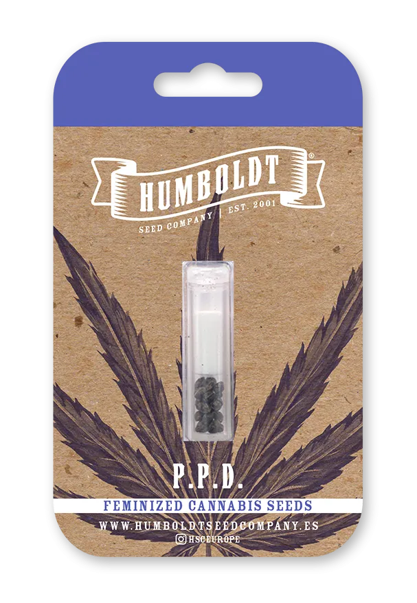 PPD feminized cannabis seed pack