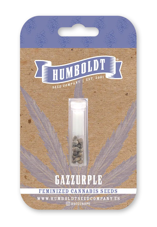 Gazzurple feminized seed pack