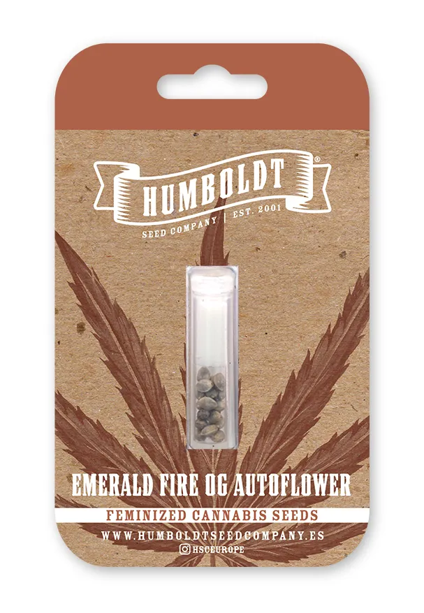 Emerald Fire Autoflower feminized cannabis seed pack