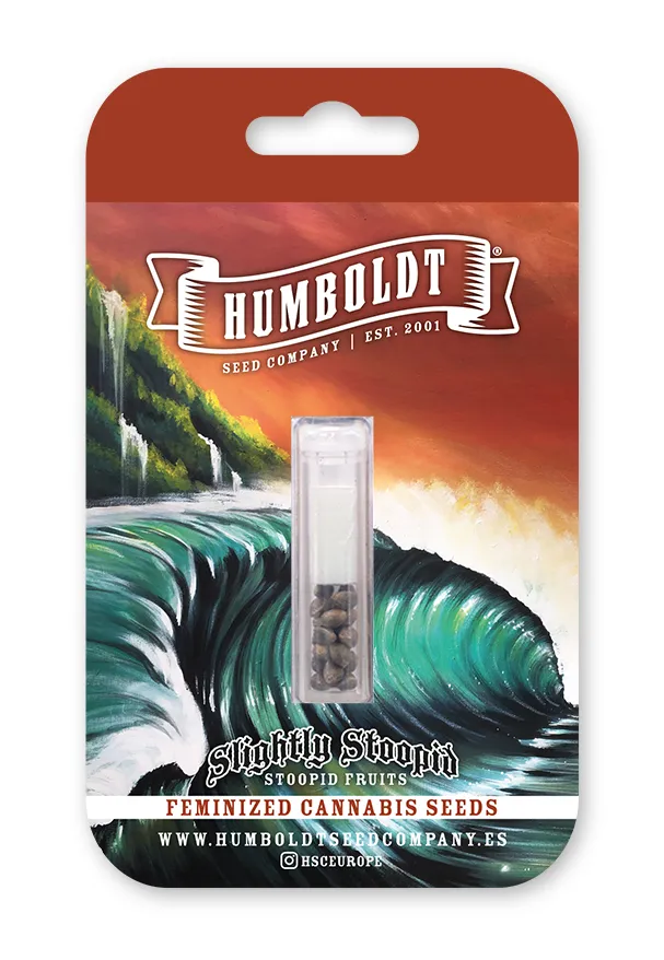 Stoopid Fruits feminized cannabis seed pack