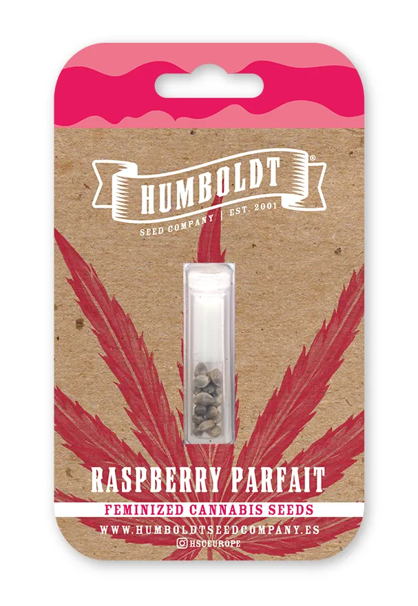 Paquete de semillas de cannabis Raspberry Parfait
