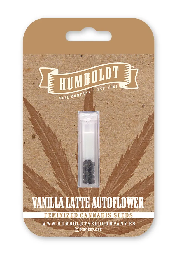 Vanilla Latte Autoflower retail seed pack