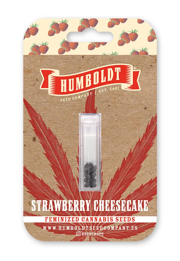 Strawberry Cheesecake Autoflower retail seed pack