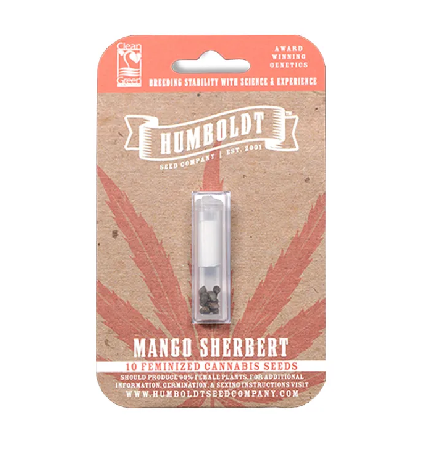 Mango Sherbert Cannabissamen-Packung