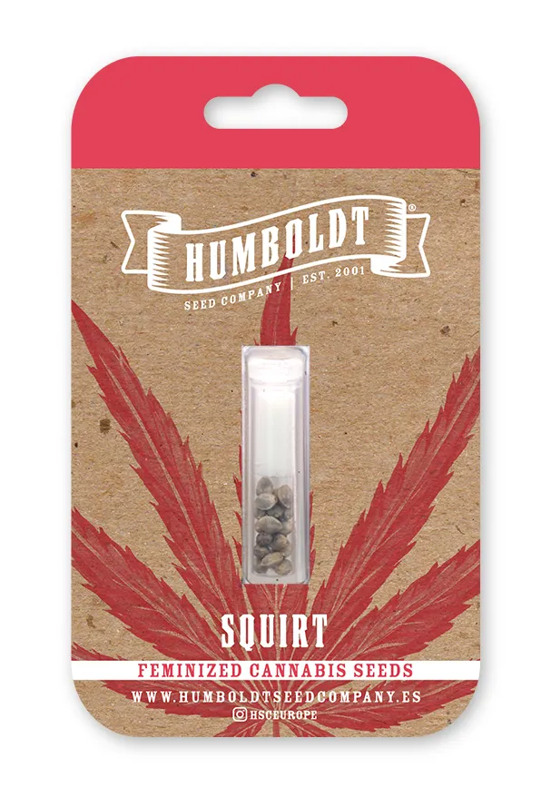 pacote de sementes de squirt