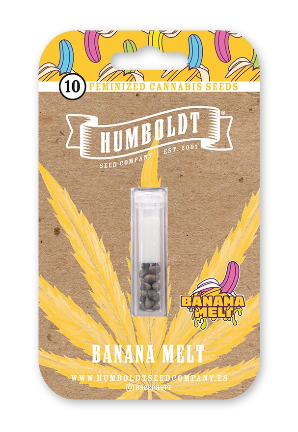 Banana Melt feminized seed pack