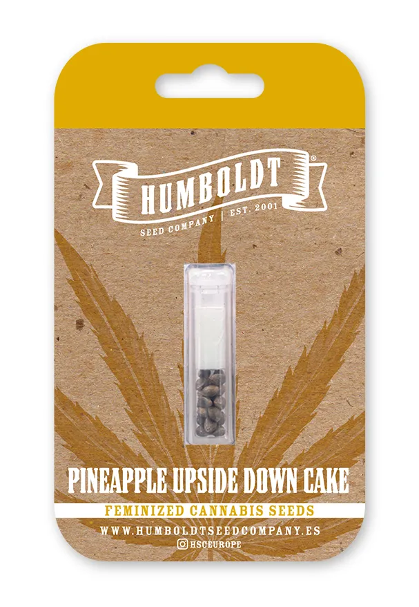 Pineapple Upside Down Cake feminized seed pack