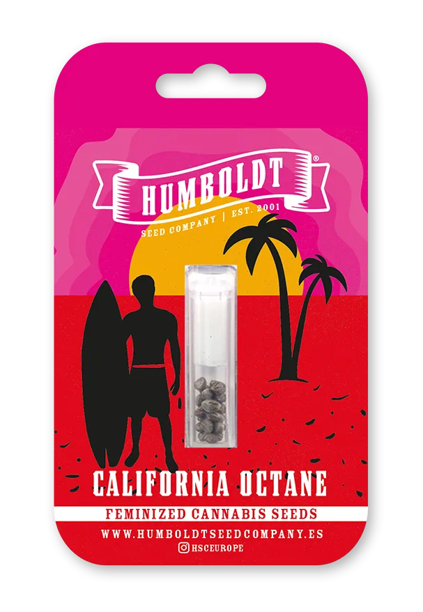 Paquete de semillas feminizadas California Octane