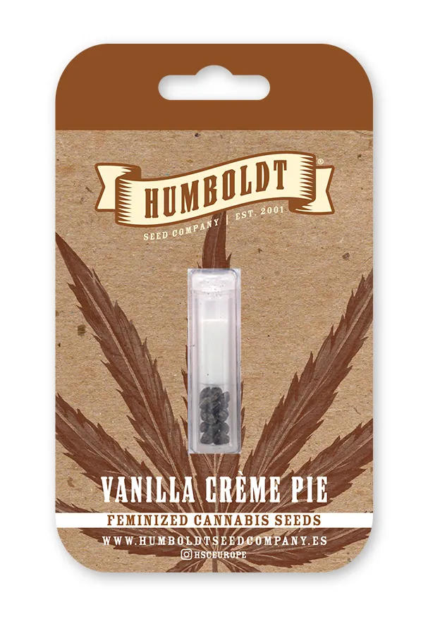 Paquete de semillas feminizadas Vanilla Creme Pie