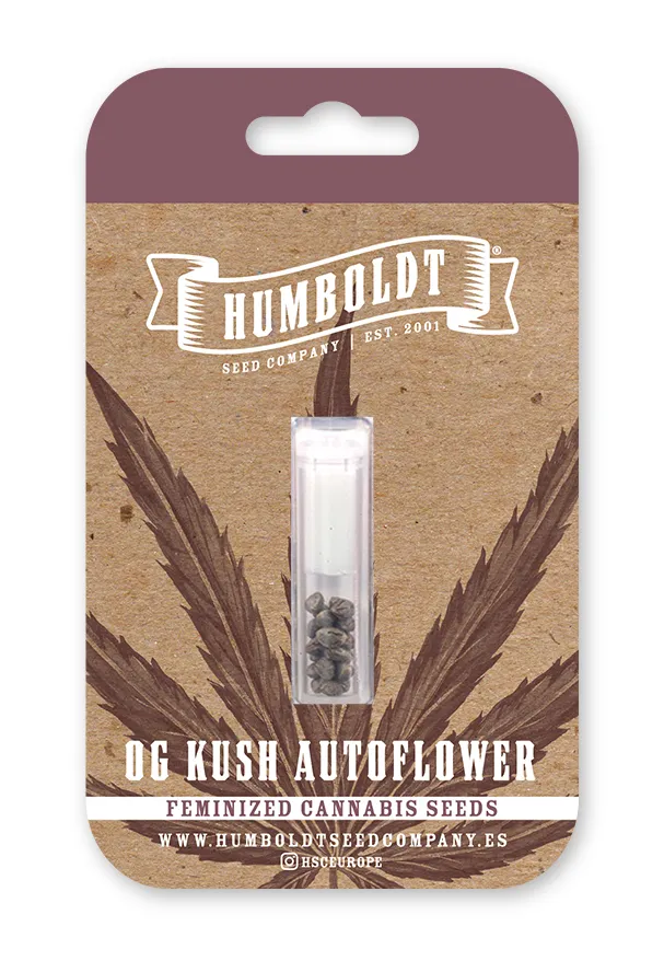 OG Kush Auto retail seed pack