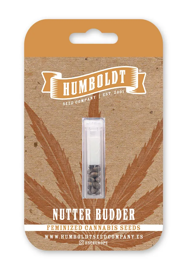 Nutter Budder feminized seed pack
