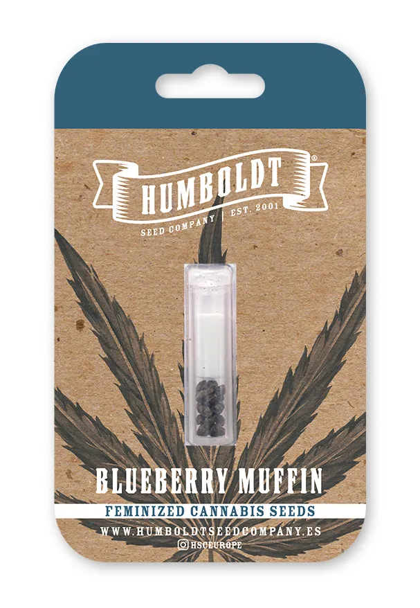 Paquet de graines Blueberry muffin