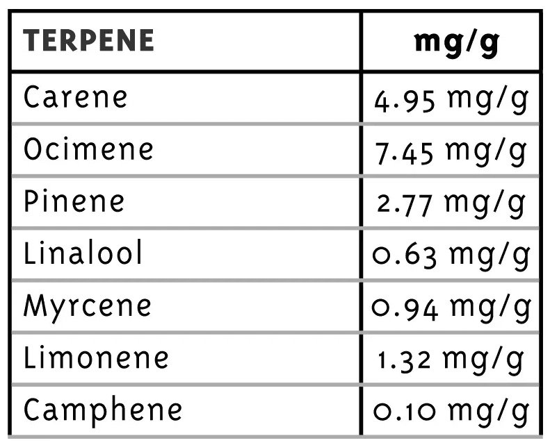 Pineapple Upside Down Cake cannabis strain terpene profile lab results