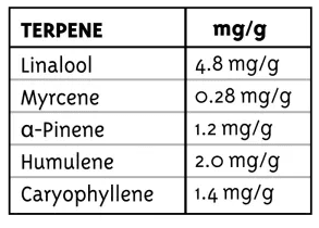 Resultados de las pruebas de laboratorio del perfil de terpenos de la variedad Bigfoot Glue