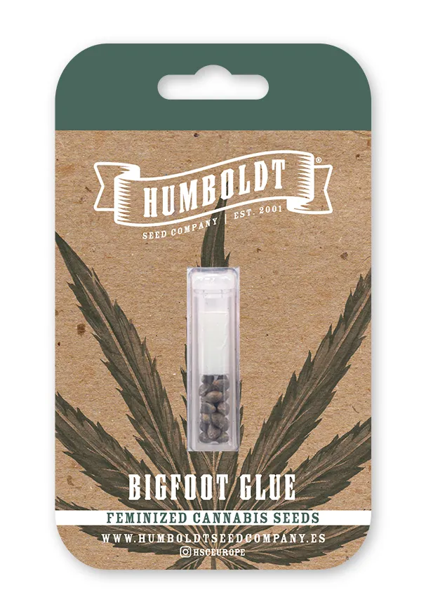 Paquete de semillas Bigfoot Glue